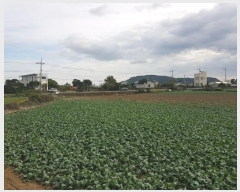  2024Ÿ34790  ֽ Ѱ  3506-2      (1)