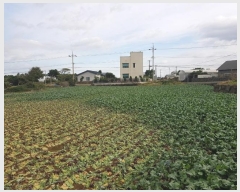  2024Ÿ34790  ֽ Ѱ  3506-2      (1)