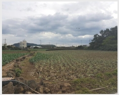  2024Ÿ34790  ֽ Ѱ  3506-2      (1)