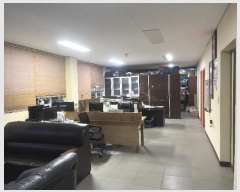  2024Ÿ35335    1490-2       ܵ,ð