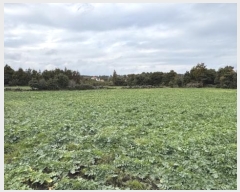  2024Ÿ35502     2247-1      (1)