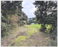  2024Ÿ35502     2247-1      (1)