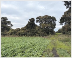  2024Ÿ35502     2247-1      (1)