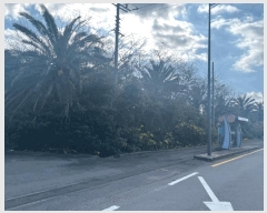  2024Ÿ��35953  �����