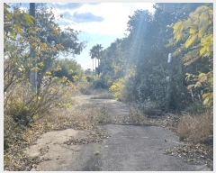  2024Ÿ��35953  �����