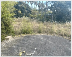  2024Ÿ��35953  �����