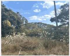  2024Ÿ��35953  �����