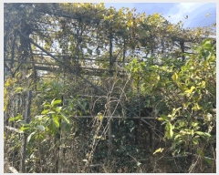  2024Ÿ��35953  �����