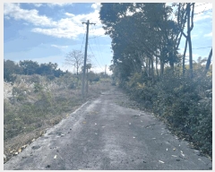  2024Ÿ��35953  �����