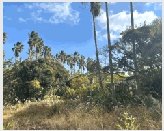  2024Ÿ��35953  �����