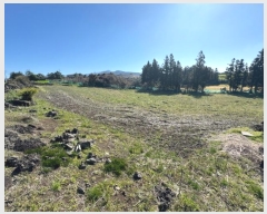  2024Ÿ��3246 ���� �������� �ȴ��� ��õ�� 735      ����(�Ӿ�)���