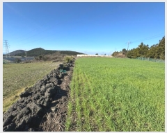  2024Ÿ��3246 ���� �������� �ȴ��� ��õ�� 735      ����(�Ӿ�)���