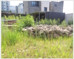  2024Ÿ6429  ֽ ƶϵ 2657-3 102      ð