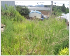  2024Ÿ6429  ֽ ƶϵ 2657-3 102      ð