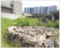  2024Ÿ6429  ֽ ƶϵ 2657-3 102      ð