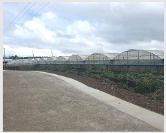  2024Ÿ7972  ֽ Ѱ û 413-1      (1)