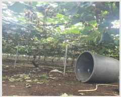  2024Ÿ7972  ֽ Ѱ û 413-1      (1)