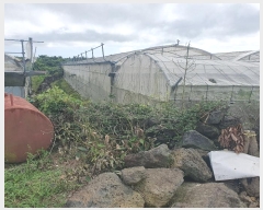  2024Ÿ7972  ֽ Ѱ û 413-1      (1)