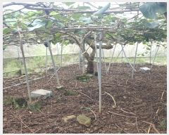  2024Ÿ7972  ֽ Ѱ û 413-1      (1)