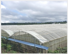  2024Ÿ7972  ֽ Ѱ û 413-1      (1)