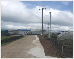  2024Ÿ7972  ֽ Ѱ û 413-1      (1)