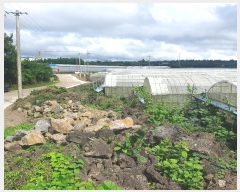  2024Ÿ7972  ֽ Ѱ û 413-1      (1)