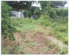  2024Ÿ��8609  �����