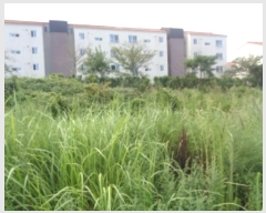  2024Ÿ��8609  �����