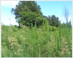  2024Ÿ��8609  �����