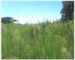  2024Ÿ��8609  �����