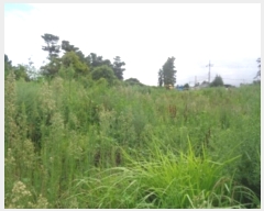  2024Ÿ��8609  �����