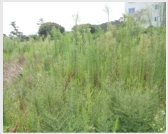  2024Ÿ��8609  �����