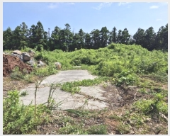  2024Ÿ8920    õ 674-1      (1)