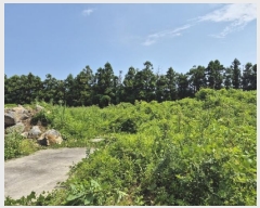  2024Ÿ8920    õ 674-1      (1)