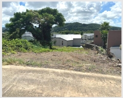  2024Ÿ��9053  ���ð��