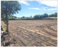  2024Ÿ��9862 ���� �������� �ȴ��� ��踮 489      ����(��1)���