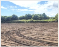  2024Ÿ��9862 ���� �������� �ȴ��� ��踮 489      ����(��1)���