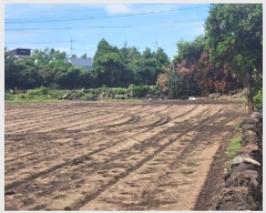  2024Ÿ��9862 ���� �������� �ȴ��� ��踮 489      ����(��1)���