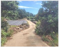  2024Ÿ��9862 ���� �������� �ȴ��� ��踮 489      ����(��1)���