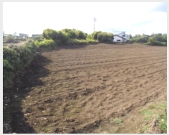  2024Ÿ��9862 ���� �������� �ȴ��� ��踮 489      ����(��1)���