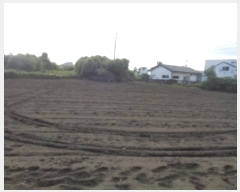  2024Ÿ��9862 ���� �������� �ȴ��� ��踮 489      ����(��1)���