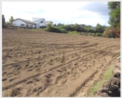  2024Ÿ��9862 ���� �������� �ȴ��� ��踮 489      ����(��1)���