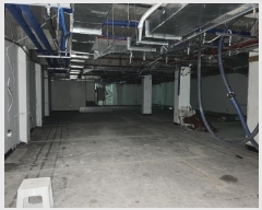  2024Ÿ��11131  �ٸ��󰡰��