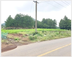  2024Ÿ11223  ֽ  ȭ 3334      (1)