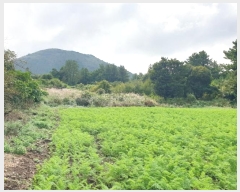  2024Ÿ11223  ֽ  ȭ 3334      (1)