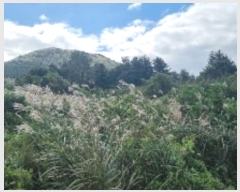  2024Ÿ11223  ֽ  ȭ 3334      (1)