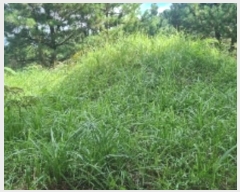  2024Ÿ11223  ֽ  ȭ 3334      (1)