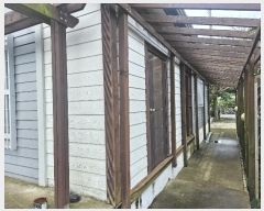  2024Ÿ��11483  ���ð��