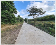  2024Ÿ��11759 ���� ���ֽ� ��õ�� �ͻ긮 1271-4      ����(��1)���