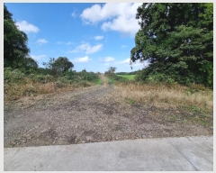  2024Ÿ��11759 ���� ���ֽ� ��õ�� �ͻ긮 1271-4      ����(��1)���